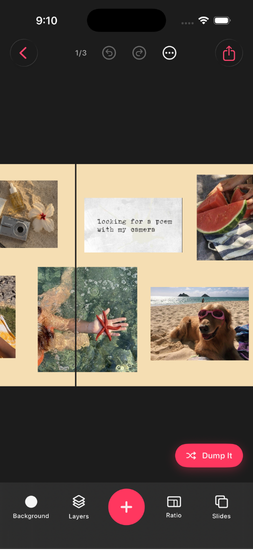 Swipe Carousel editor in DUMP with an ordered strip of photos and videos